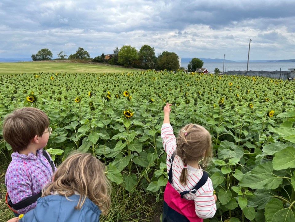 Tronvik Gårdsbarnehage (2)