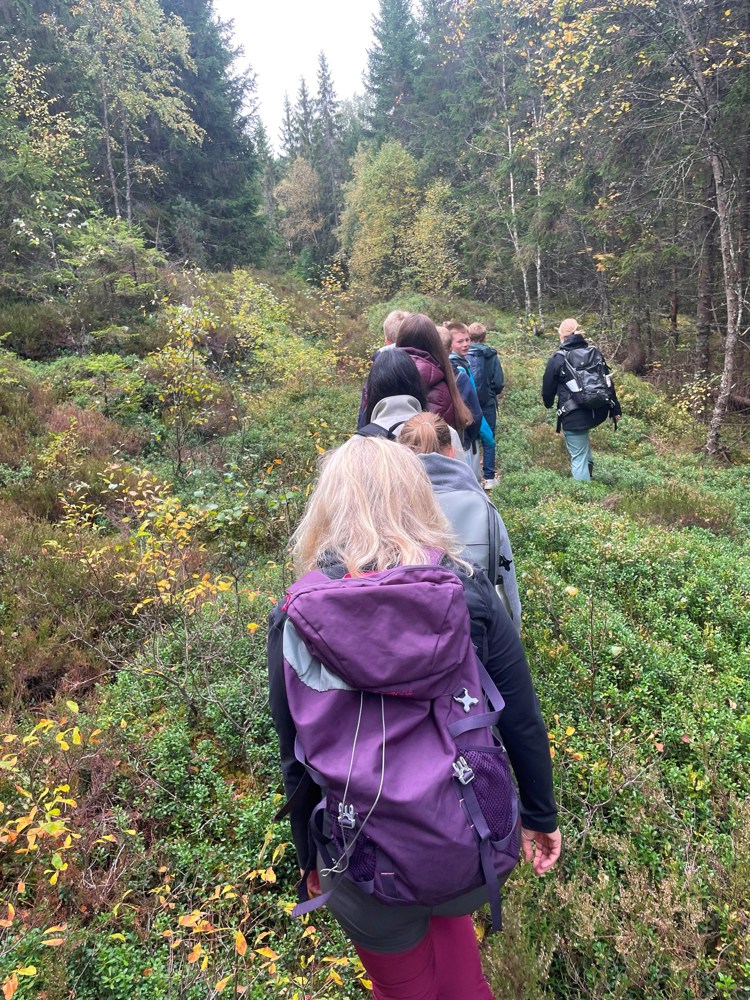 Barn går etter hverandre i en skog