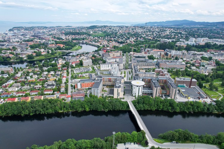 Trondheim 